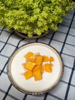 Homemade yogurt