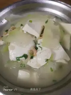 Dinosaur tofu soup