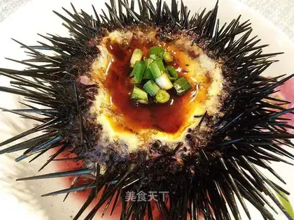 Sea urchins