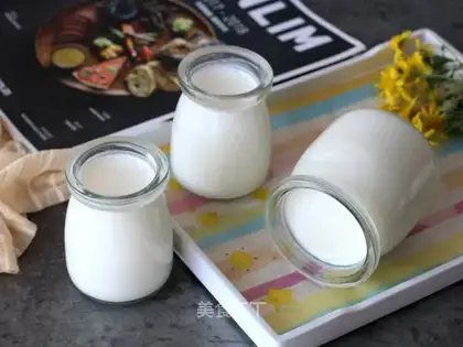 Sugar-free yogurt