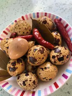 Five halogen eggs