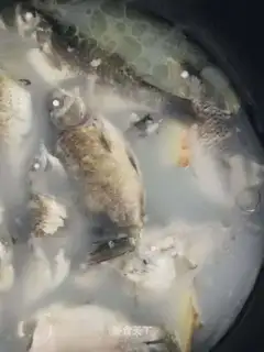 Squid soup