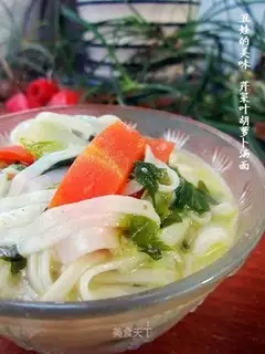 Carrot and celery leaf noodles