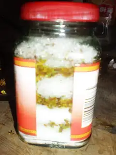 Home-made osmanthus sugar