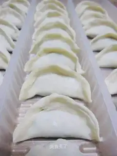 Leek Dumplings
