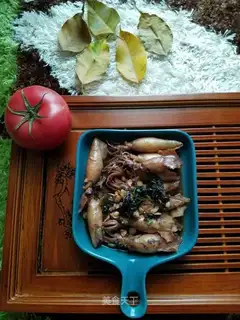 Squid