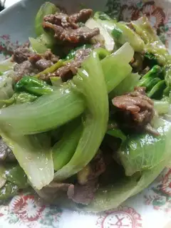 Beef pastry