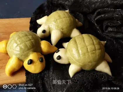 Toon, turtle, bun