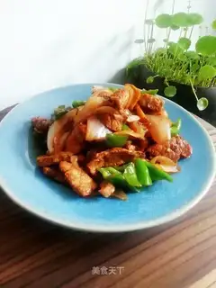Fried meat