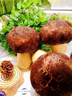 It's like a mushroom bean bag