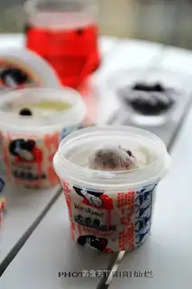 New Zealand Black Jell-O Chest Ice cream