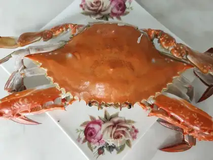 Crabs