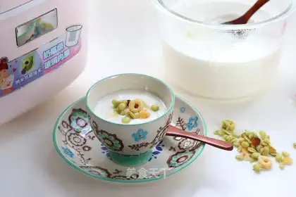 Homemade yogurt