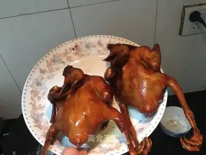 Cricket pigeon