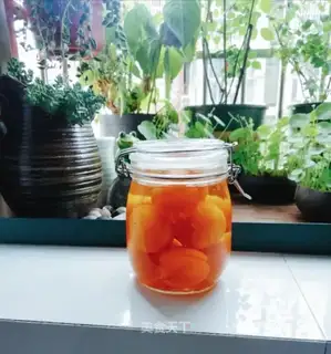 Apricot