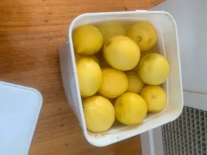 Salted lemon