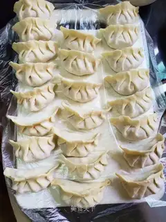 Frozen chicken dumplings
