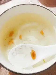 Snowflies