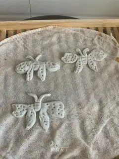 ♪ Butterflies ♪