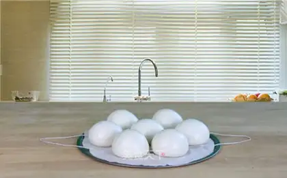 Puff and powder