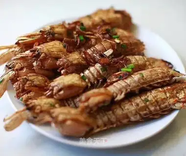 Shrimp