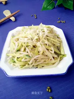 Squirt cucumber sprouts