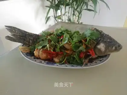 Caucasian fish