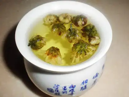 chrysanthemum tea