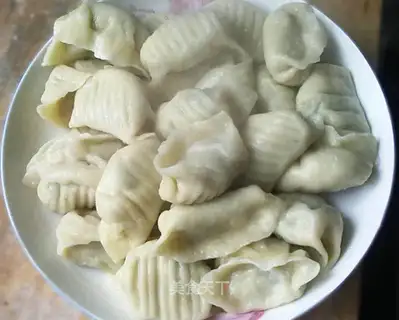 Beef and green onion dumplings