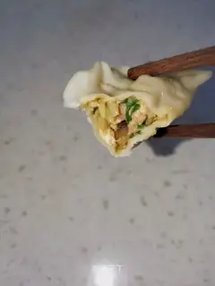 Six fresh dumplings