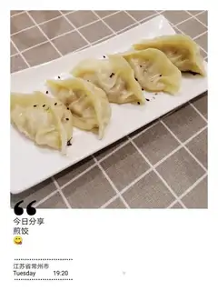 Fried dumplings