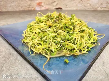 Onion black bean sprouts