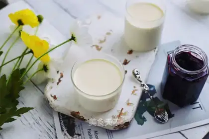Homemade yogurt