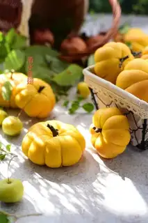 Pumpkin bread