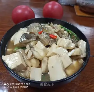 Tofu