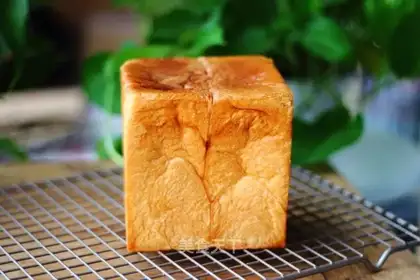 Water cube white toast