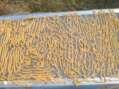 Potato sesame
