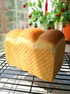 Yogurt toast
