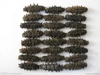 The bubble hair of dry sea cucumber