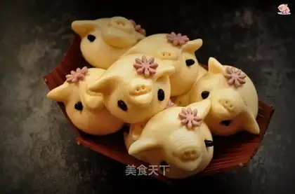 Cute pigs