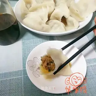 Pork cabbage dumplings