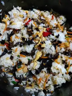 Rice rice