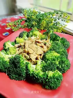 Chicken slices with fennel and broccoli