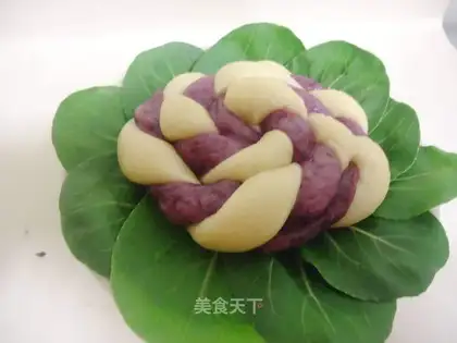 bicolor