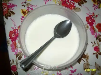 homemade yogurt