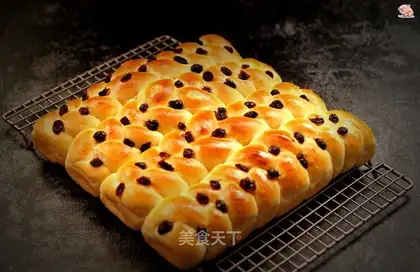 The cranberry loaf