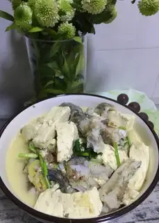 The catfish tofu