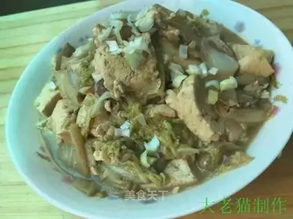 The cabbage, the tofu