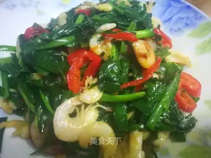 Shrimp