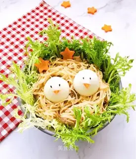 Bird to nest